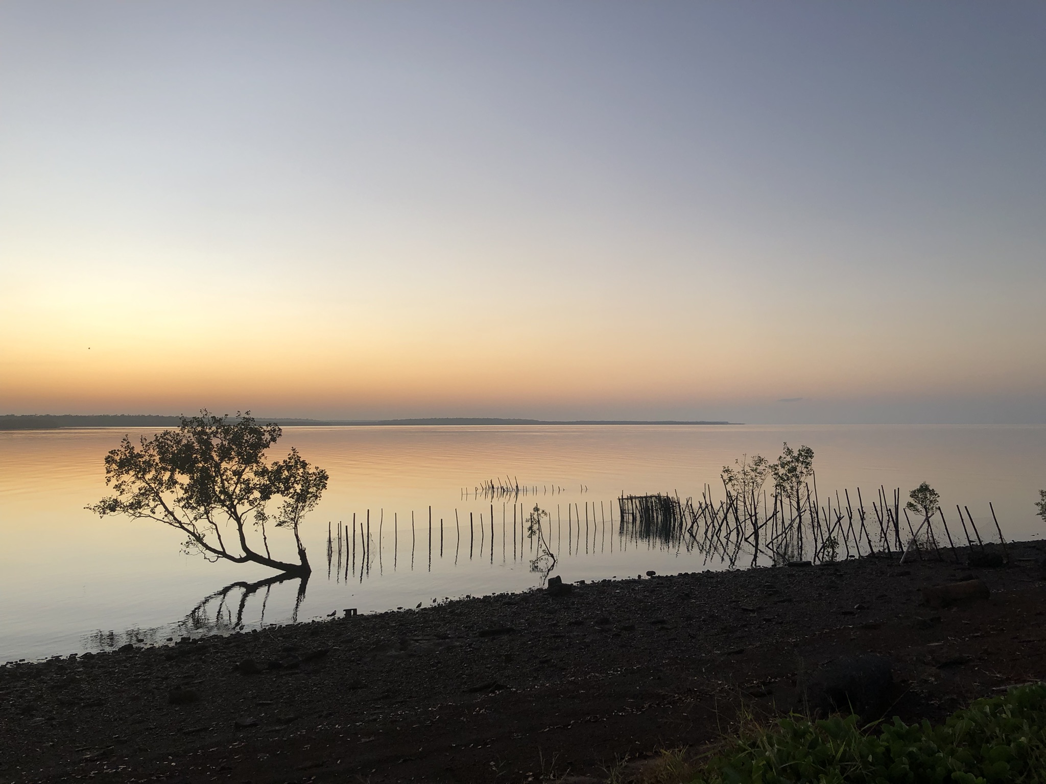 Wurrumiyunga, Bathurst Is. (Mantiyupwi)