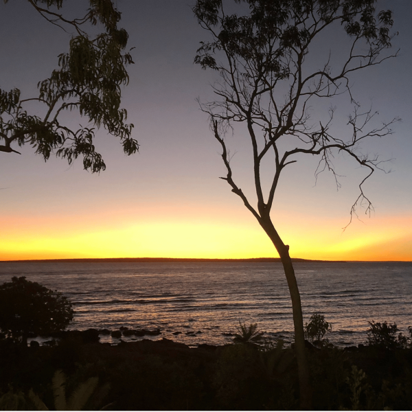 Sunset - Groote